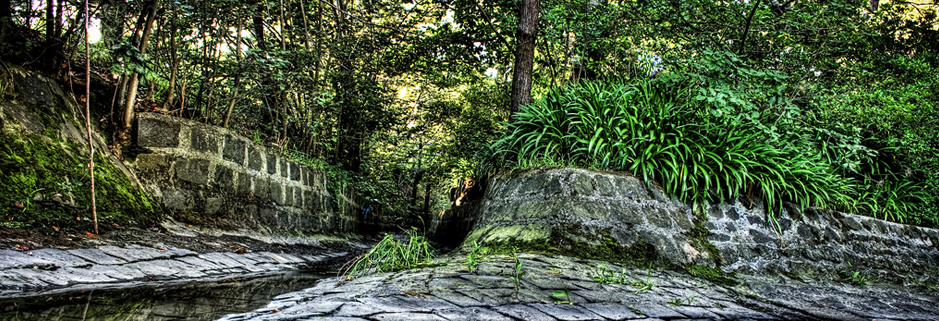 网络手机号呼叫软件免费版